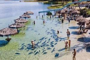 Turistas na Lagoa dos Tambaquis