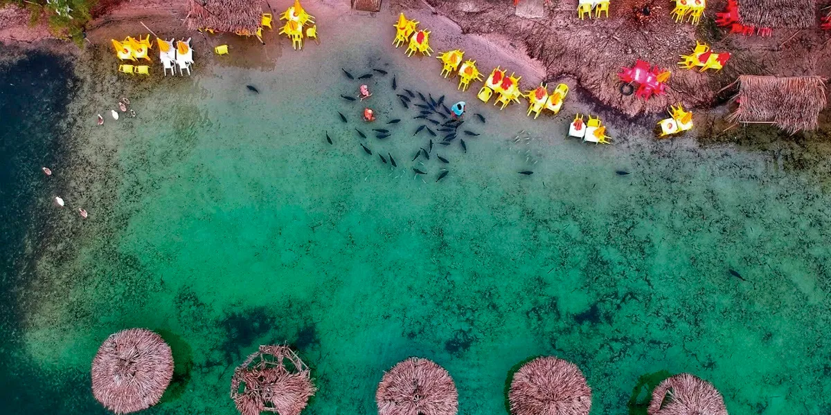 Imagem aérea de alguns Tambaquis