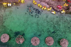 Imagem aérea de alguns Tambaquis