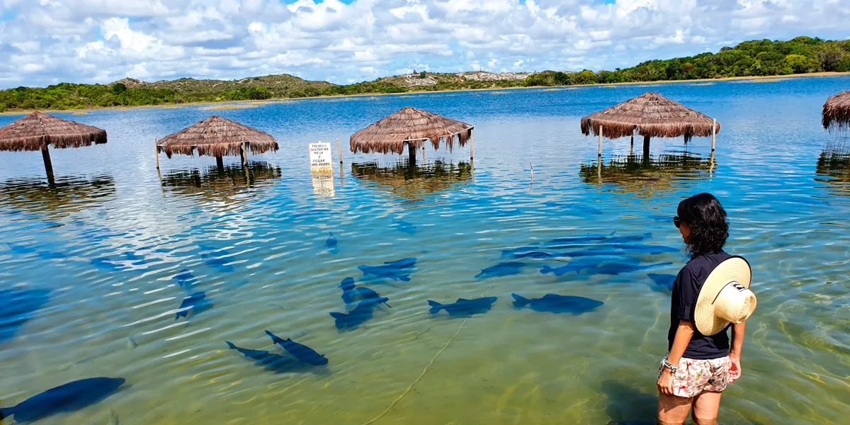 Alimentando Peixes - Lagoa dos Tambaquis